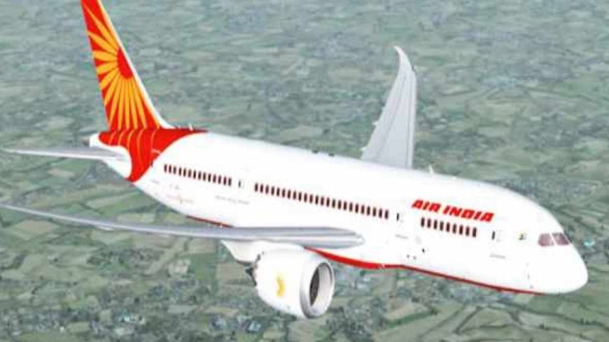 दिल्ली से सिडनी जा रही Air india की फ्लाइट ने हवा में खाए झटके, कई यात्रियों को आईं चोटें