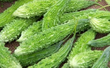 टारगेट पूरा नहीं करने वाले कर्मचारियों को दी अजीब सजा