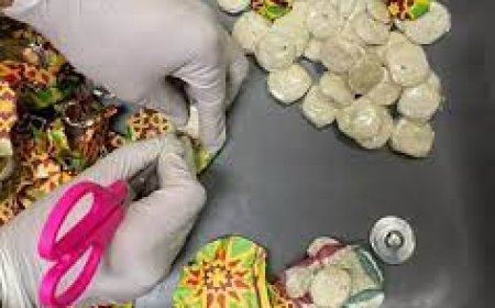 14.2 करोड़ रुपये मूल्य की हेरोइन के साथ विदेशी महिला गिरफ्तार