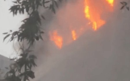 दिल्ली के कनॉट प्लेस के पास बहुमंजिला बिल्डिंग में लगी भीषण आग