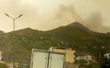 अल्जीरिया के जंगलों में लगी भीषण आग से 25 लोगों की मौत