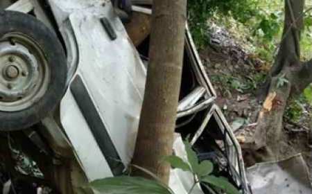 पेड़ से टकराने के बाद खाई में गिरी कार, एक ही परिवार के छह लोगों की मौत