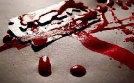 शेविंग ब्लेड से पत्नी की हत्या के बाद नाजुक अंगों को काट डाला