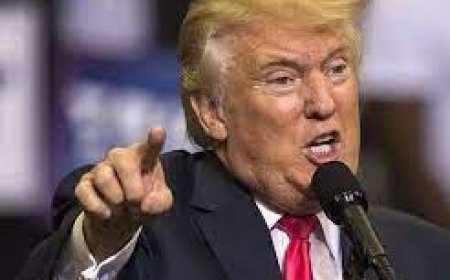 डोनाल्ड ट्रंप के बिगड़े बोल, अमेरिका का फिर राष्ट्रपति बना तो भारत...