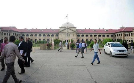 गो हत्या निषेध कानून में गोमांस के परिवहन पर प्रतिबंध नहीं : इलाहाबाद उच्च न्यायालय